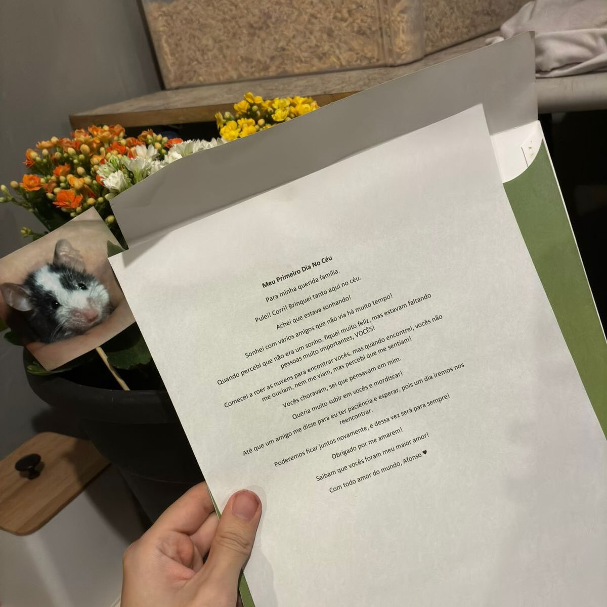 Poema recebido pela Clinica após o falecimento